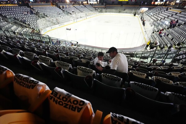 Arizona coyotes fan shop discount